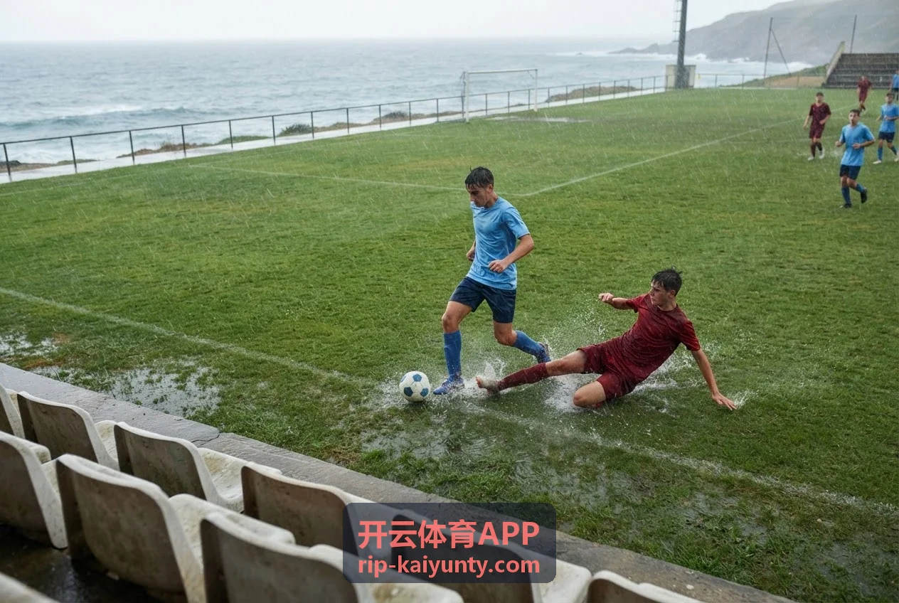 开云体育APP会员权益升级